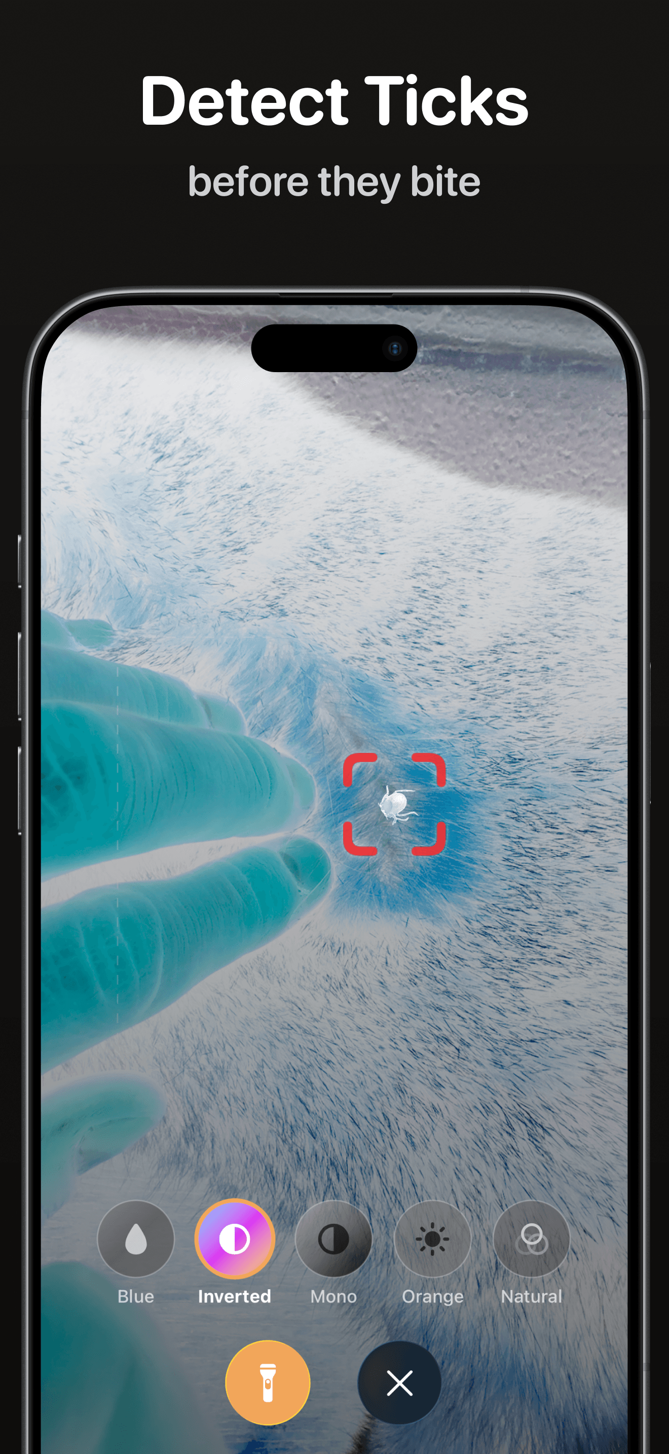 TickSentry - Tick Checker in use
