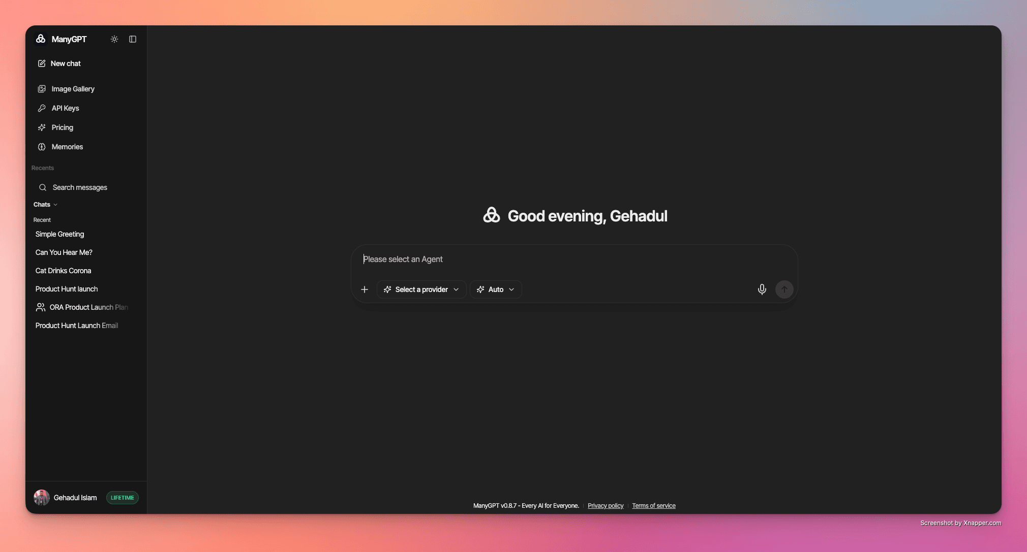 ManyGPT screenshot 2