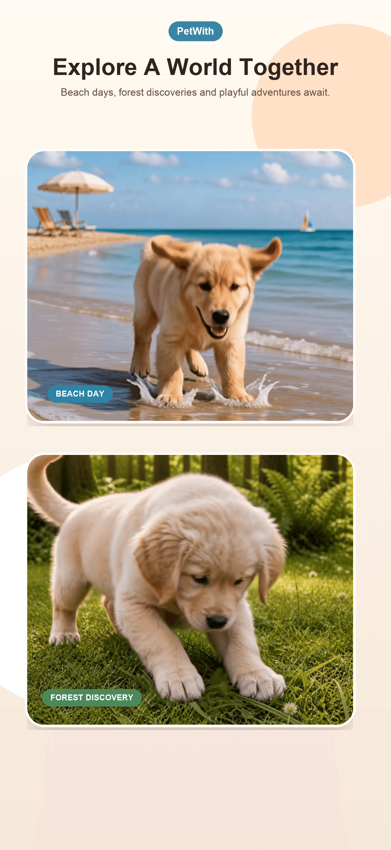 PetWith screenshot 4