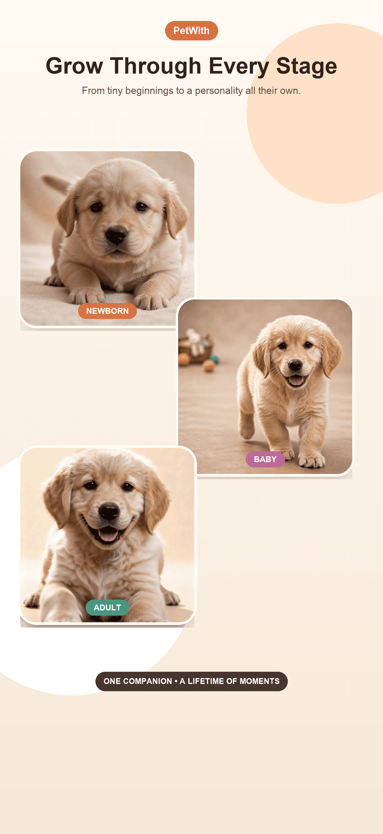 PetWith screenshot 2