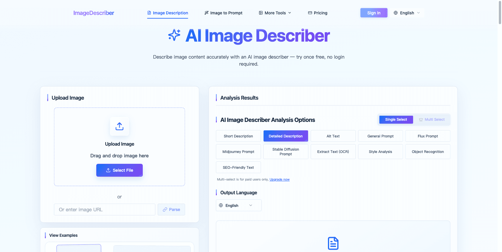 Image Describer in use