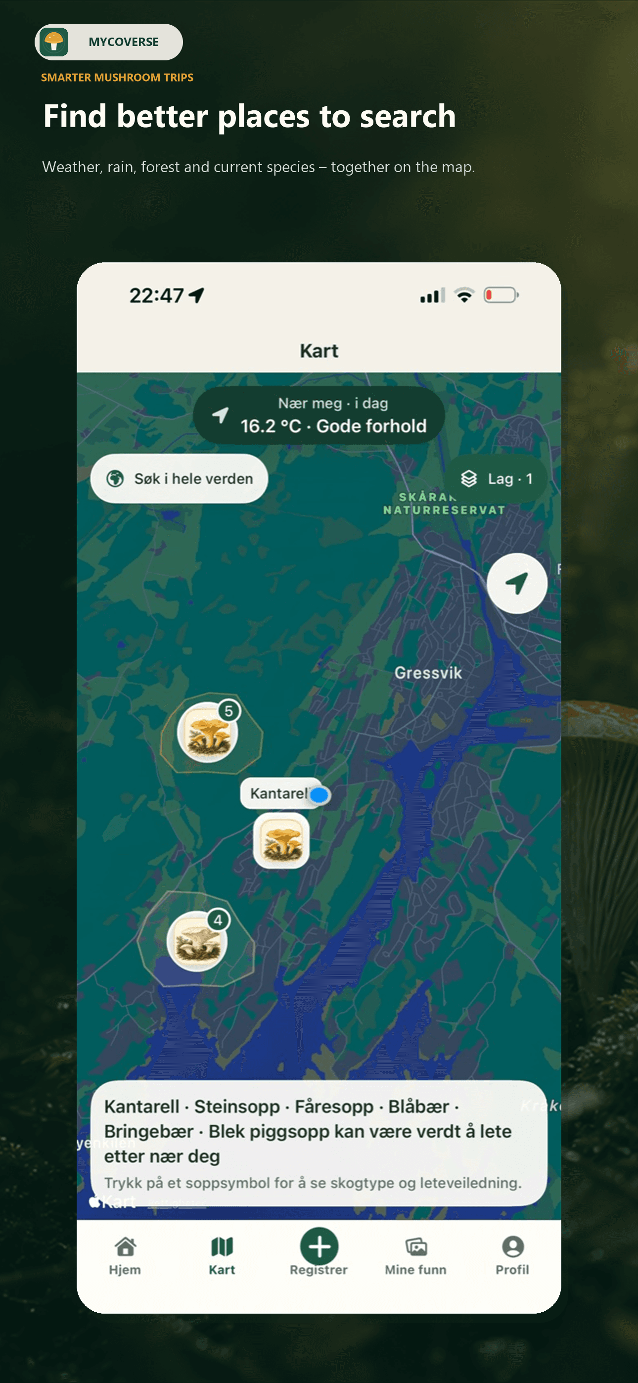 Mycoverse in use