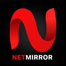 Netmirror in use